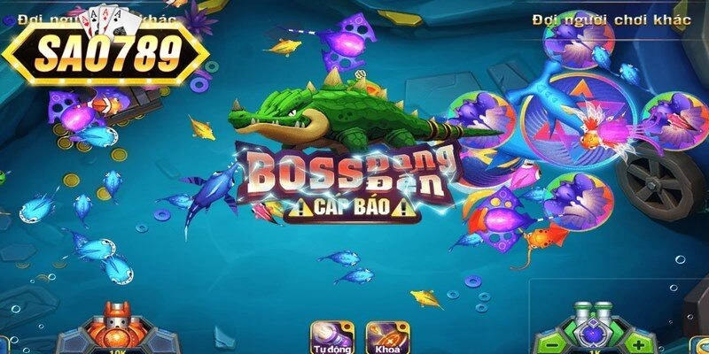 Sai lầm cần ghi nhớ khi chơi săn cá