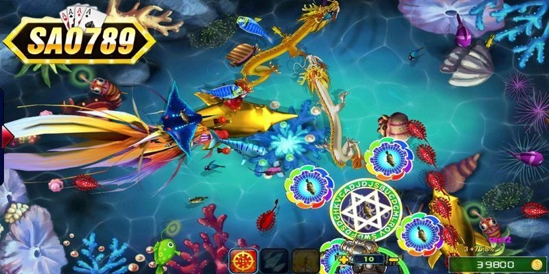 Bạn được tùy chọn chế độ săn cá đổi thẻ